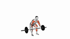 Barbell Hang Snatch